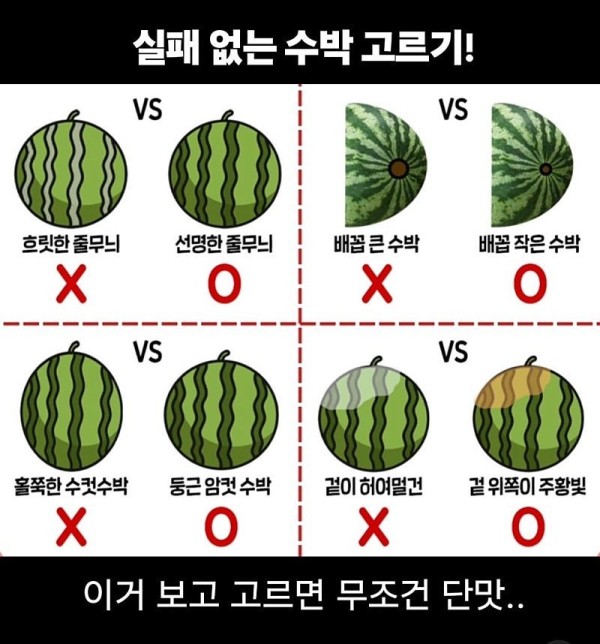 실패 없는 참외 수박 고르기